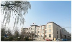 拆卸入异物形成伤痕液压缸正在总拆卸前